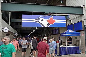 Sahlen Field Concourse - Toronto Blue Jays