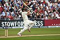 Shane Watson 2013