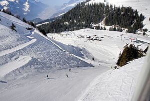 Skiabfahrt von Planplatten zur Mägisalp (1409-11)