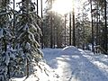 South Karelia, Finland - panoramio (9)