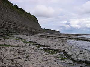 Strata formation - Penarth cliffs