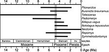 Stratigraphic ranges of mammals from the Gray Fossil Site, TN