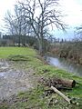 Swill Brook - geograph.org.uk - 339936