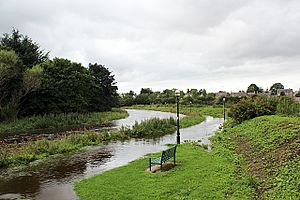 The Don in flood (geograph 2968856)