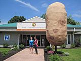 The Potato Museum