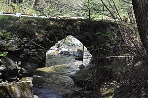 TownshendVT FairBrookStoneArchBridgeUpstreamSide