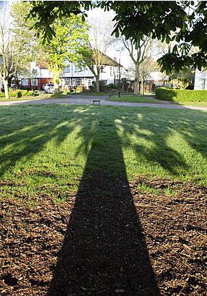 Tree shadow Chorltonville