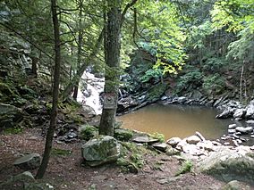 Wahconah Falls State Park.jpg