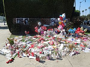 Whitney Houston Flowers 2