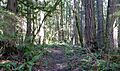 Wildwood Barlow Road segment - Oregon
