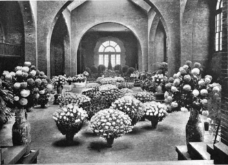 1901 chrysanthemum show HorticulturalHall MassAve Boston November