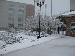 2010 snowstorm in Troy, Alabama