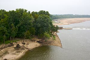 A view from the Chain of Rocks Bridge