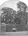 Abrahams Creek in 1878