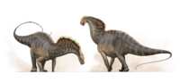 Amargasaurus Reconstruction Fred Wierum.png