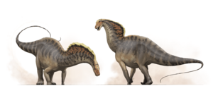 Amargasaurus Reconstruction Fred Wierum