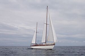 Aquarius Plan Cornu