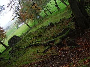 Backhill Farm ruins view, Loudoun Hill
