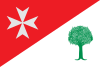 Flag of Binaced