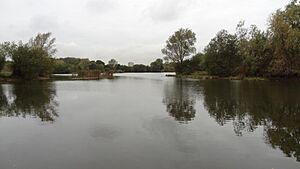 Bardag Lake, Eastbrookend Country Park 2