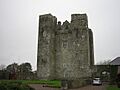 Barryscourt