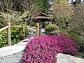 Bellevue Botanical Garden Bridge