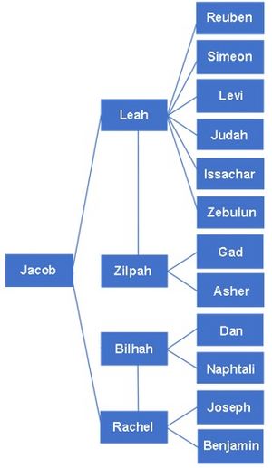 Biblical Jacob and his 12 sons Genealogy (Family Tree)
