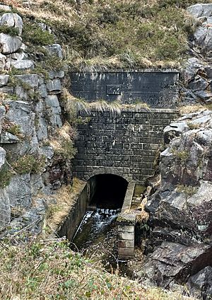 Binnian Tunnel