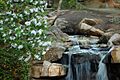 BogGardenSerenityFalls2
