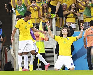 Brazil and Colombia match at the FIFA World Cup 2014-07-04 (18)