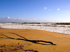Breakers on The Shore at Playa del Rey