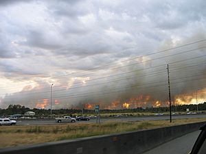 Burnsbogfire2005