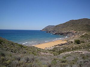 Calblanque3