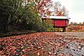 Campbell's Covered Bridge 10 (7)