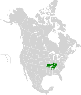 Central U.S. Hardwood Forests map.svg