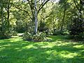 Chorleywood Common1