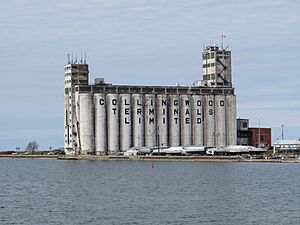 Collingwood Terminals grain elevator