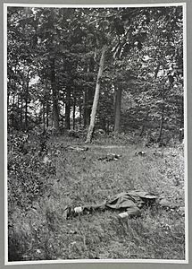 Confederate dead on Matthews Hill, Bull Run (i.e. Antietam) LCCN2012647848