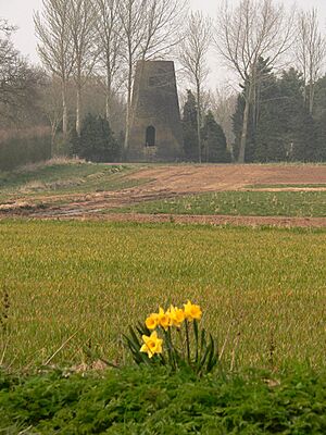 Converted Windmill - geograph.org.uk - 383715