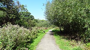 Cranebank path