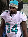 Damien Williams (running back)