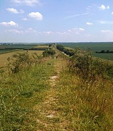 Devil's Dyke Cambs