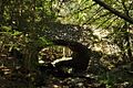 DevilsHopyardSP Bridge1605UpstreamSide
