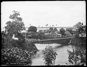 Distant view of the suburbs of Hilo, Hawaii, 1907 (CHS-427)