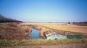 Dixon waterfowl refuge, 1999
