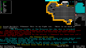 Dwarf Fortress adventurer mode