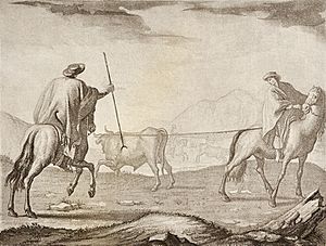 Enlazando ganado en las pampas - Fernando Brambilla - 1794.jpg