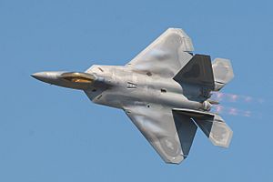 F-22 Raptor at the 2008 Joint Services Open House airshow 4