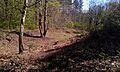 Faestendic in Joyden's Wood, Kent