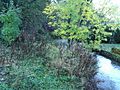 Farnley Beck - geograph.org.uk - 76248